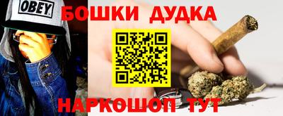 МДПВ Партизанск