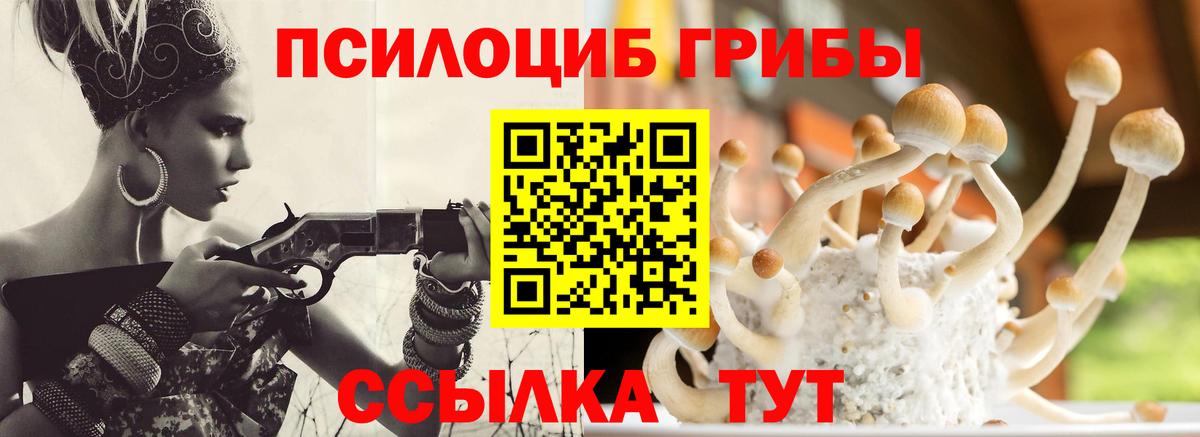 Галлюциногенные грибы GOLDEN TEACHER  Вход с VPN  Галлюциногенные грибы Psilocybe  Россия 